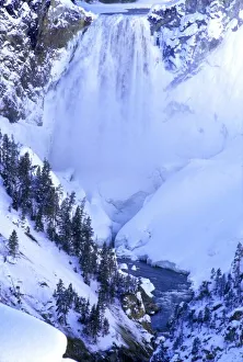 Images Dated 13th October 2007: USA, Wyoming, Yellowstone National Park. Winter scenic at Grand Canyon of the Yellowstone