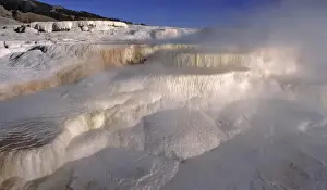 Travertine Prints: USA, Wyoming, Yellowstone NP. Mist from Mammoth Hot Springs fills the air in Yellowstone NP