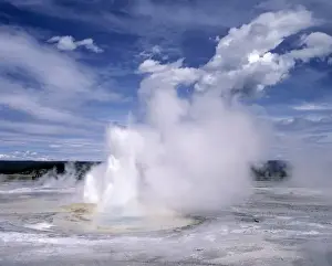 Yellow Stone Prints: USA, Wyoming, Yellowstone NP. Steam churns from the Norris Geysers, Yellowstone NP