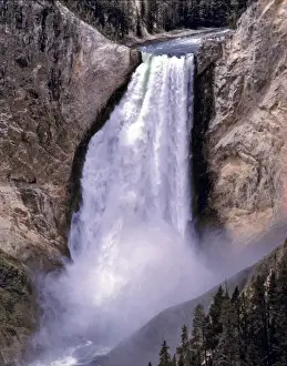 Yellow Stone Prints: USA, Wyoming, Yellowstone NP. Visitors witness the magnificent power of Yellowstone Falls