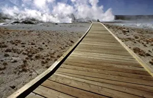 Walk Way Prints: USA, Wyoming, Yellowstone NP. A wooden walkway leads to and from the famed Mammoth Hot Springs