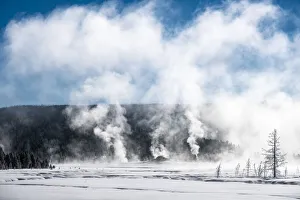 Rising Prints: USA, Yellowstone, Norris Geyser Basin