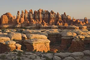 Prints of UT, Canyonlands National Park, The Needle Rock spires and grabens at Chester Park Images Dated 2019 November: UT, Canyonlands National Park, The Needle Rock spires and grabens at Chester Park
