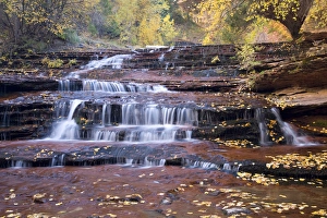 Images Dated 30th October 2008: UT, Zion National Park, Waterfall, Left Fork of North Creek