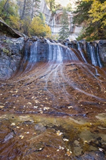 UT, Zion National Park, Waterfall, Left Fork of North Creek