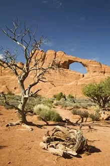Images Dated 16th April 2006: Utah, Arches NP, Skyline Arch
