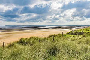 Normandy Prints: Utah Beach, beach grass, Normandy, France