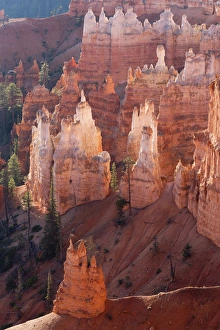 Utah, Bryce Canyon National Park, Bryce Canyon and Hoodoos