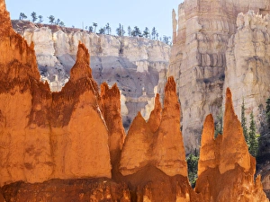 Utah Prints: Utah, Bryce Canyon National Park, Bryce Canyon and Hoodoos along Peekaboo Loop Trail