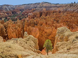 Images Dated 27th October 2017: Utah, Bryce Canyon National Park. View of canyon with hoodoos