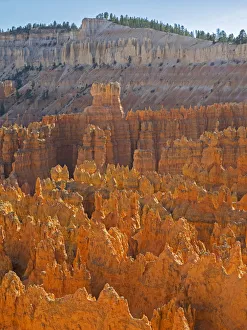 Images Dated 27th October 2017: Utah, Bryce Canyon National Park. View of canyon with hoodoos