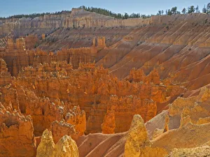 Images Dated 27th October 2017: Utah, Bryce Canyon National Park. View of canyon with hoodoos