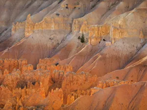 Images Dated 27th October 2017: Utah, Bryce Canyon National Park. View of canyon with hoodoos
