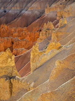 Images Dated 27th October 2017: Utah, Bryce Canyon National Park. View of canyon with hoodoos