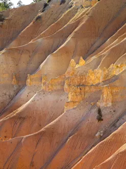 Images Dated 27th October 2017: Utah, Bryce Canyon National Park. View of canyon with hoodoos