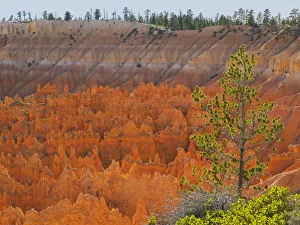 Images Dated 27th October 2017: Utah, Bryce Canyon National Park. View of canyon with hoodoos