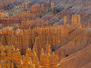 Images Dated 27th October 2017: Utah, Bryce Canyon National Park. View of canyon with hoodoos