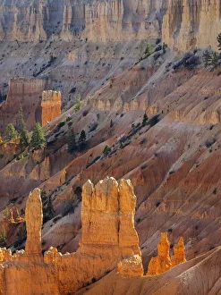 Images Dated 27th October 2017: Utah, Bryce Canyon National Park. View of canyon with hoodoos
