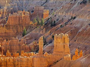 Images Dated 27th October 2017: Utah, Bryce Canyon National Park. View of canyon with hoodoos