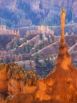 Utah Prints: Utah, Bryce Canyon National Park, The Sentinel