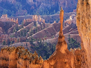 Bryce Canyon Prints: Utah, Bryce Canyon National Park, The Sentinel