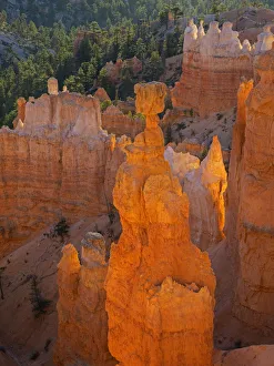 Utah, Bryce Canyon National Park. Thors Hammer