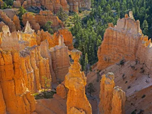 Bryce Canyon Prints: Utah, Bryce Canyon National Park. Thors Hammer