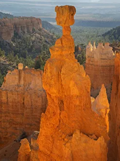 Images Dated 28th October 2017: Utah, Bryce Canyon National Park. Thors Hammer