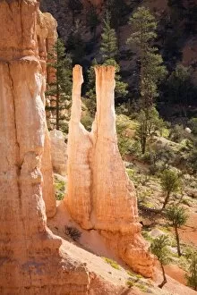 Images Dated 22nd April 2006: Utah, Bryce Canyon NP, Fairyland from Fairyland Loop Trail
