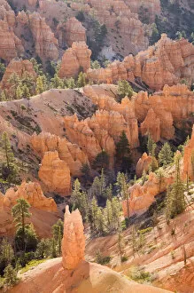 Images Dated 22nd April 2006: Utah, Bryce Canyon NP, Queens Garden
