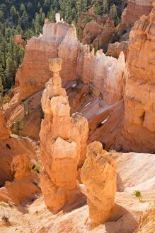 Images Dated 22nd April 2006: Utah, Bryce Canyon NP, Thors Hammer
