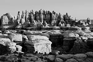 Images Dated 25th January 2024: Utah, Canyonlands National Park. The Needles, rock spires and grabens at Chesler Park