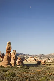 Needle Prints: Utah, Canyonlands NP, The Needles, Rock spires at Chesler Park