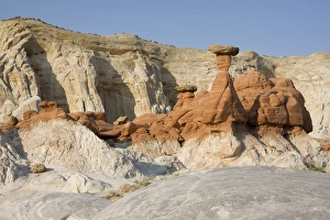 Toadstool Prints: Utah, Grand Staircase Escalante NM, The Toadstools, an area of Entrada sandstone columns