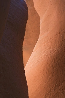 Shade Prints: Utah, Grand Staircase Escalante NM, Spooky Gulch, Slot canyon of Dry Fork Coyote Gulch
