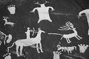 Images Dated 25th January 2024: Utah. Newspaper Rock, Petroglyphs on sandstone rock