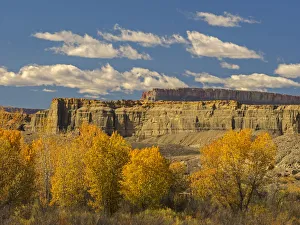 Landscape Prints: Utah, Wayne County, Upper Blue Hills