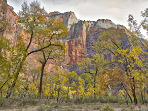Images Dated 30th October 2017: Utah, Zion National Park