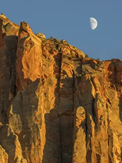 Landscape Prints: Utah, Zion National Park, Moon over The Watchman