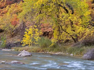 Images Dated 31st October 2017: Utah, Zion National Park, Virgin River