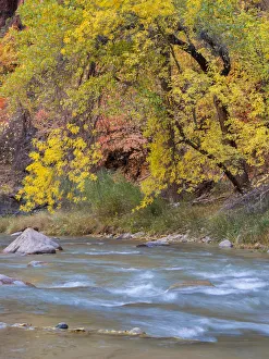 Images Dated 31st October 2017: Utah, Zion National Park, Virgin River