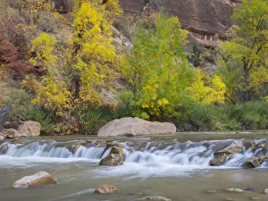 Images Dated 31st October 2017: Utah, Zion National Park, Virgin River