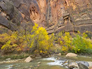 Images Dated 30th October 2017: Utah, Zion National Park, Virgin River