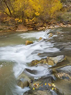 Images Dated 31st October 2017: Utah, Zion National Park, Virgin River