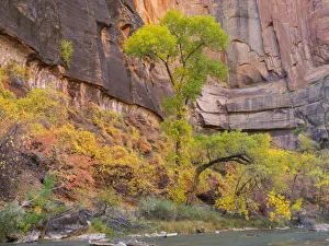 Images Dated 31st October 2017: Utah, Zion National Park, Virgin River