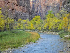Images Dated 31st October 2017: Utah, Zion National Park, Virgin River