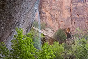 Images Dated 27th April 2008: Utah, Zion National Park, Waterfall at Lower Emerald Pool