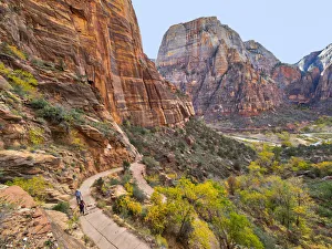 Images Dated 30th October 2017: Utah, Zion National Park, Zion Canyon, trail to Angels Landing
