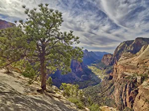 Images Dated 30th October 2017: Utah, Zion National Park, Zion Canyon, view from Angels Landing