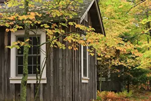 Cabin Prints: UVA Biological Station cabins, Mountain Lake Wilderness Conservancy, Piedmont, Virginia